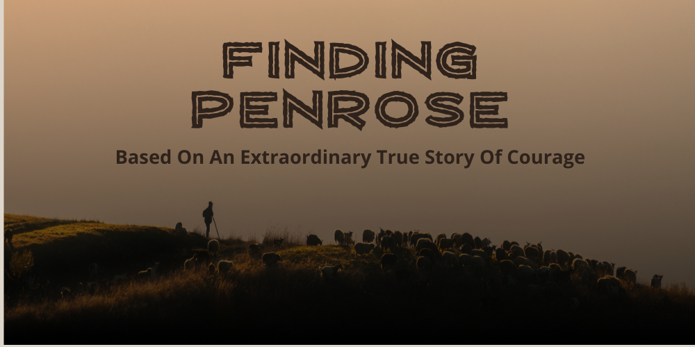 Finding Penrose
