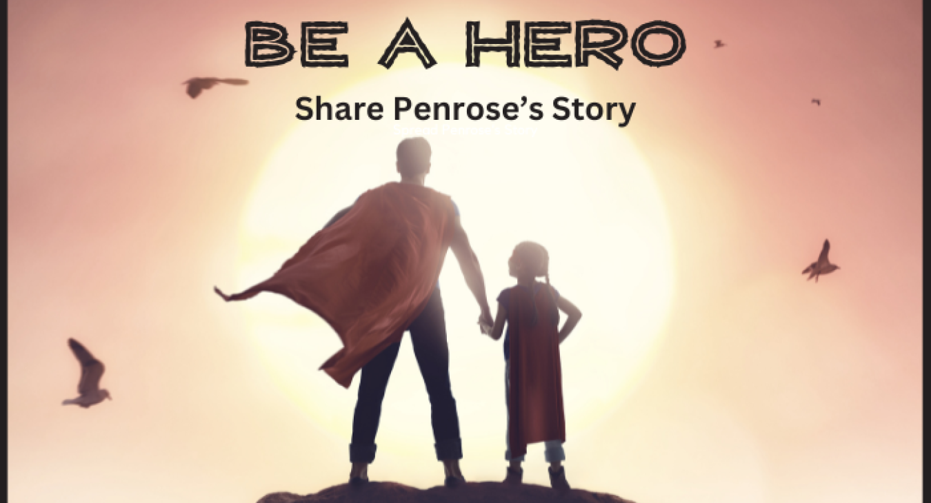 Be A Finding Penrose Hero