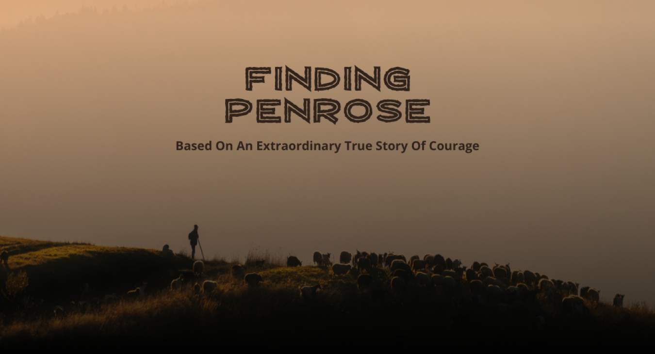 Finding Penrose Kickstarter Campaign