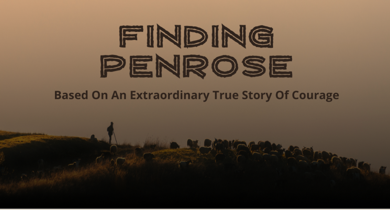 Finding Penrose